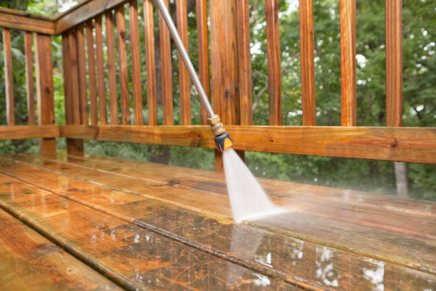 Best Roof Pressure Washing  in Chuluota, FL