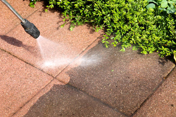 Best Residential Pressure Washing Services  in Chuluota, FL
